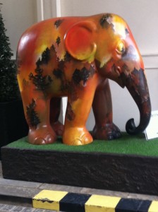 elephant