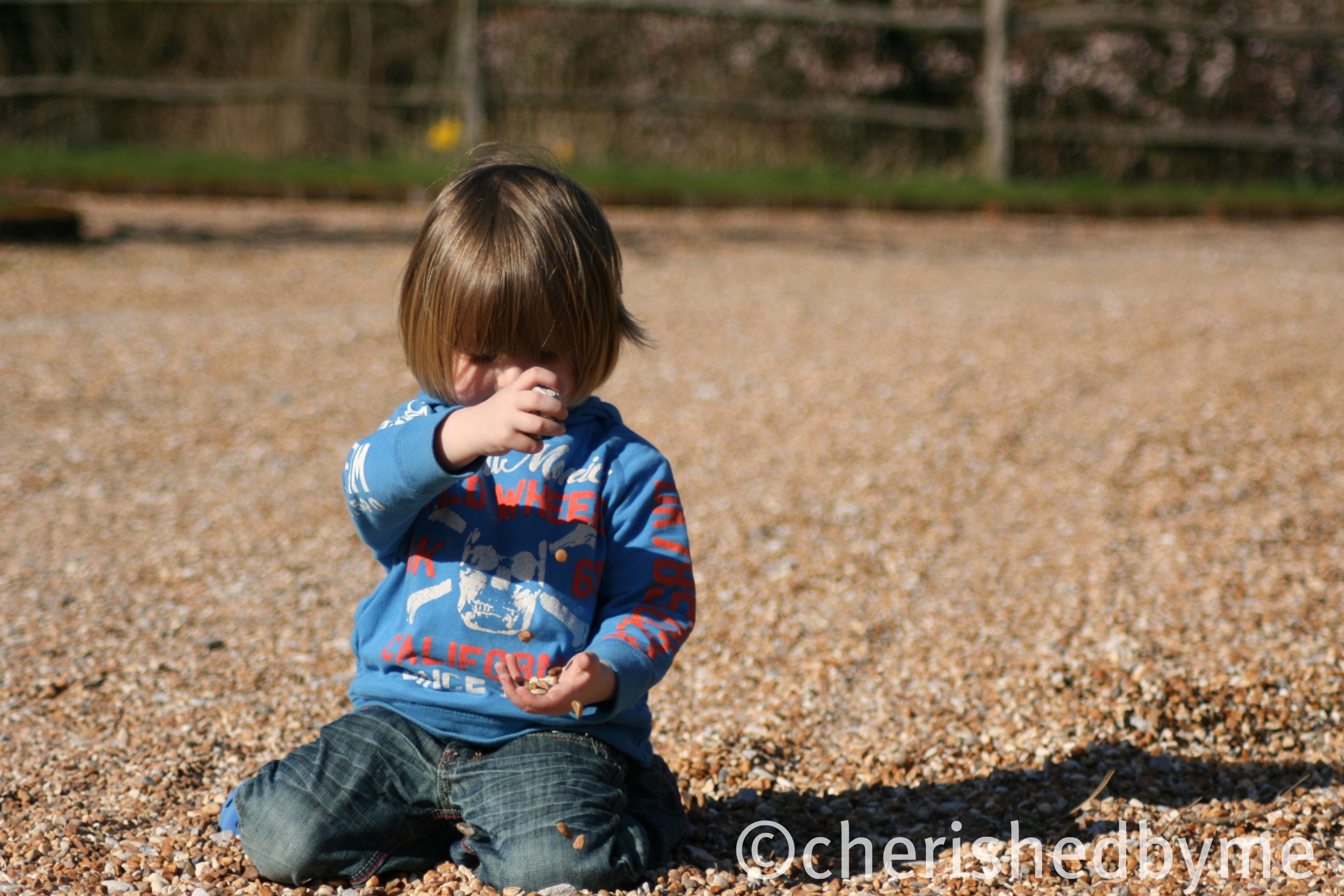 What are little boys made of?