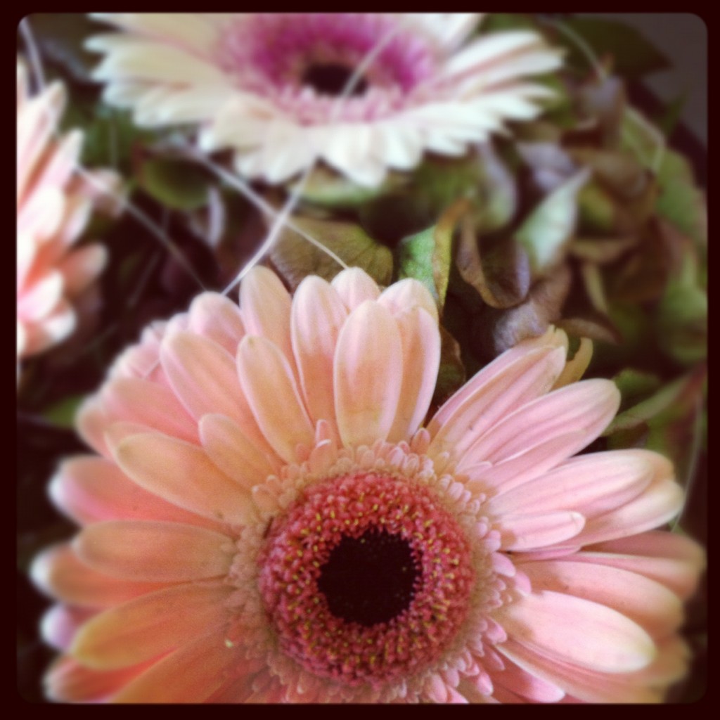 Flowers for my mum