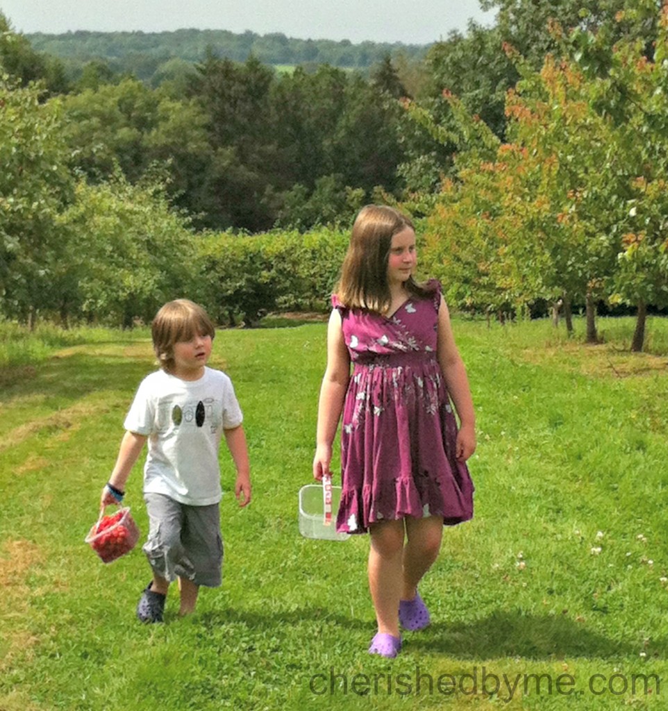 Fruit Picking